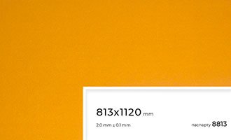 Паспарту 8813 оптом купить